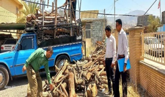 کشف و توقیف دو تن چوب جنگلی غیرمجاز در شهرستان رودان