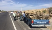 توقیف خودرو حامل چوب آلات باغی بدون مجوز در شهرستان رودان‎