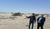 بازدید مدیرکل منابع طبیعی و آبخیزداری استان به اتفاق معاون فنی اداره کل از پروژه بیابانزدائی منطقه مشکوهی شهرستان جاسک 