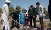 کاشت نهال در محل پایگاه نیرو دریایی سپاه شهرستان جاسک به مناسبت فرا رسیدن هفته منابع طبیعی و آبخیزداری  