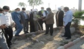 برگزاری مراسم جشن درختکاری در شهرستان بندرلنگه 