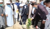 غرس نهال توسط امام جمعه در گلزار شهدای بندرعباس