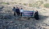 اجرای طرح احیای گیاهان دارویی در مراتع رهدار شهرستان رودان‎