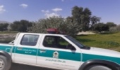 گشت زنی در عرصه ها اولویت اول کاری منابع طبیعی شهرستان پارسیان است‎