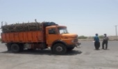 کنترل محموله های چوب در جاده های مواصلاتی شهرستان بندرعباس
