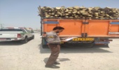 کنترل محموله های چوب در جاده های مواصلاتی شهرستان بندرعباس