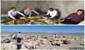 حضور فرماندار در مراتع شهرستان رودان‎‎