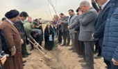 بیش از 700 هکتار از اراضی شهرستان حاجی آباد اصلاح و بازنگری شد