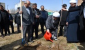 عملیات آبخیزداری حوزه گرودال تسان شهرستان بستک پیشرفت فیزیکی ٨٠ درصدى دارد