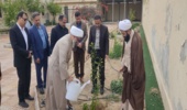 گلدهی گونه ی جنگلی تج در میناب