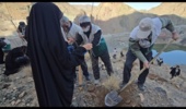 اخذ سند تک برگی اراضی ملی منطقه لور میناب