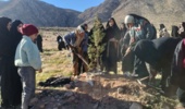 آتش سوزی های فصلی که مراتع هرمزگان را تهدید می کند