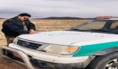 آغاز گلدهی گونه مغیر در شهرستان سیریک  