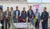 برگزاری جلسه هماهنگی با متقاضیان برداشت چوب در شهرستان سیریک