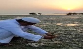 پیام تسلیت مدیر کل منابع طبیعی هرمزگان به مناسبت شهادت حضرت فاطمه زهرا (س)