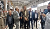از تالاب بین المللی آذینی و طرح های مشارکت مردمی بیابانزدایی شهرستان سیریک بازدید شد