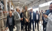 پاسخگویی بیش از ۱۱۶ فقره استعلامات از طریق سامانه سامط در شهرستان رودان