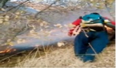 بازدید میدانی مدیرکل منابع طبیعی و آبخیزداری و بررسی مشکلات روستای راونگ شهرستان میناب
