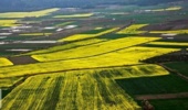 صدور بیش از ۶۱ هزار هکتار سند تک برگ در رودان