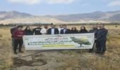 بازدید معاون فنی اداره کل از محل مورد نظر اجرای عملیات مالچ پاشی شهرستان جاسک