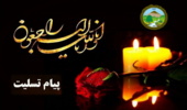 پاسخگويى به ٩٠ فقره استعلام از طريق سامانه سامط در نیم سال اول ٩٨