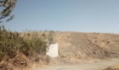 قدردانی دهیار روستای تومان راهی از اداره منابع طبیعی وآبخیزداری شهرستان سیریک