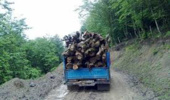 برگزاری  کارگاه آموزشی تربیت آبخیزیار در اجرای پروژه های پخش سیلاب در شهرستان بندرلنگه از محل اعتبارات صندوق توسعه ملی 