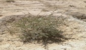 برگزاری کارگاه آموزشی پیشگیری و اطفا حریق در شهرستان بستک