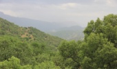 بازدید از محدوده پیشنهادی احداث سد آبخیزداری خیر ساز در شهرستان سیریک