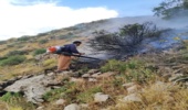 برگزاری کلاس آموزشی همیار طبیعت دانش  آموزی در دبستان شهید چمران شهرستان جاسک