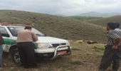 بررسی و رفع مشکل اراضی ملی روستاهای گواه کوه، گنایی ، بخش مهران شهرستان بندرلنگه