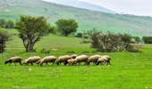 مدیر کل منابع طبیعی و آبخیزداری هرمزگان با خانواده معزز شهدا دیدارکرد