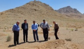 کوه گنو محلی مناسب برای رویش گیاهان دارویی هرمزگان