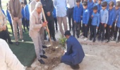 توزیع و کشت نهال رایگان به مناسبت گرامیداشت دهه مبارک فجر، شهرستان قشم‎‎