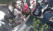 توزیع 150 اصله نهال بومی در روز راهپیمایی ۲۲ بهمن دربندرلنگه