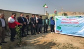 برگزاری جشن روز درختکاری در شهرستان قشم