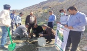 غرس نهال با حضور معاون استاندار و مدیرکل منابع طبیعی و آبخیزداری استان در شهرستان جاسک 