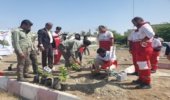 غرس نهال در بوستان جوانان هلال احمر میناب به مناسبت هفته منابع طبیعی