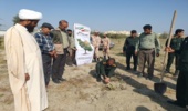 کشت نهال به مناسبت بزگداشت روز شهدا و هفته منابع طبیعی در میناب