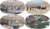 آتش سوزی در منطقه بخوان فارغان هرمزگان مهار گردید