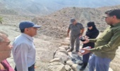 بازدید رییس اداره منابع طبیعی بندرعباس از پروژه عملیات آبخیزداری احداث بند سنگی ملاتی حوزه هماگ –کلوچان  
