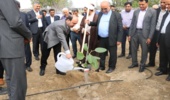 آغاز هفته منابع طبیعی درهرمزگان با کاشت ۱۰۰ هزار اصله نهال 