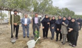 کاشت هزار اصله نهال در دانشگاه هرمزگان با حضور رییس و کارکنان اداره منابع طبیعی بندرعباس  با شعار منابع طبیعی با مشارکت مردم برای مردم 