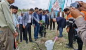 کاشت ۲۵۰ اصله نهال به مناسبت روز درختکاری در شهرستان رودان