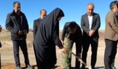 برگزاری پویش سراسری درختکاری "در سایه مادر" در پارک زیارتعلی شهرستان رودان 