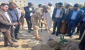 برگزاری مراسم درختکاری در جاسک با حضور مسئولین به مناسبت هفته منابع طبیعی و آبخیزداری