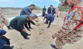 برگزاری جشن درختکاری در شهرستان بندرلنگه 