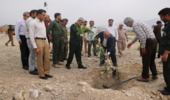 کاشت 1500 اصله نهال در منطقه گردشگری شهید سلیمانی قلعه قاضی