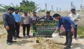 توزیع نهال رایگان در شهرستان جاسک به مناسبت روز ملی ارتش