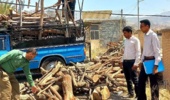 کشف و توقیف دو تن چوب جنگلی غیرمجاز در شهرستان رودان
